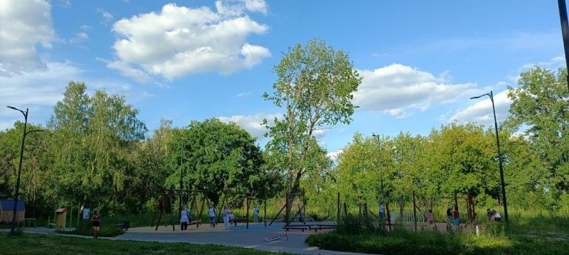 Саженцы в Рязани будут защищать декоративными конструкциями